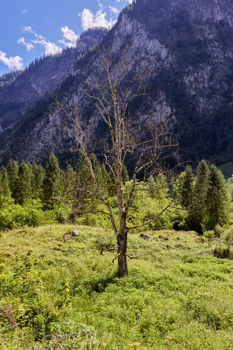 Gemeinde Schönau Landkreis Berchtesgadener_Land Salet Obersee (Dirschl Johann) Deutschland BGL